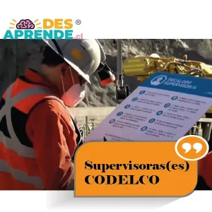 Supervisoras y supervisores CODELCO